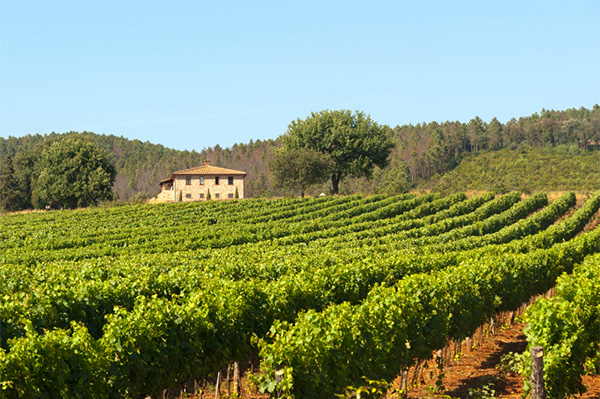 Mirapiana Rosso Maremma Toscana DOC 2019 - Terroir