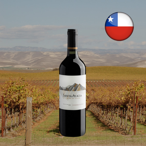 Santa Alicia Carménère Valle Central 2022 - Oferta