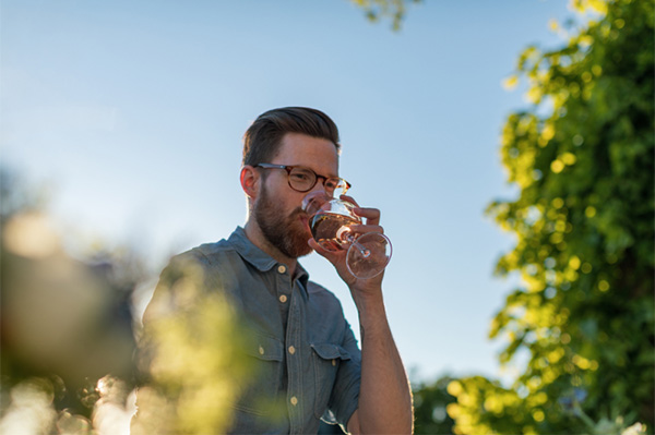 Santa Helena Reservado Rosé - Aromas