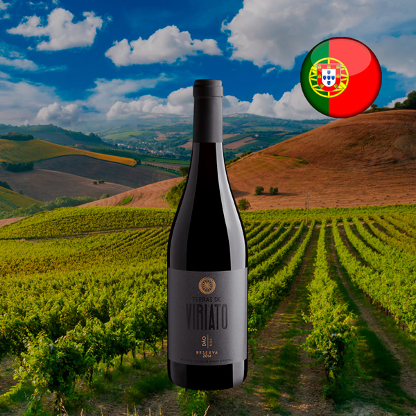 Terras de Viriato Reserva Dão DOC 2014 - Oferta