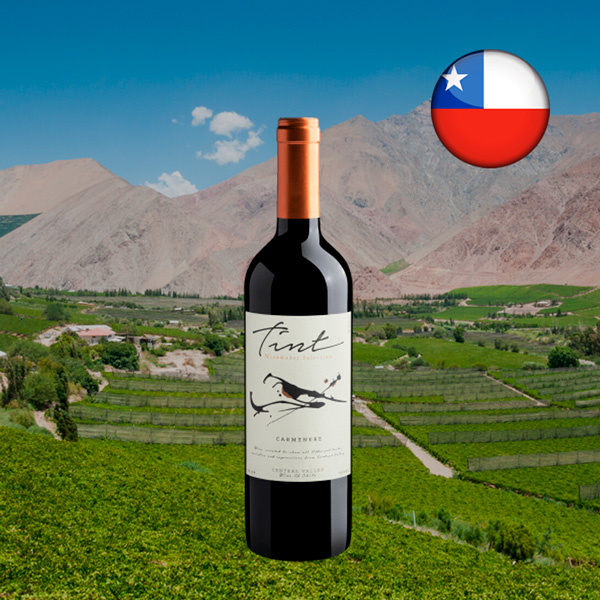 Tint Winemaker Selection Carménère Central Valley DO 2022 - Oferta