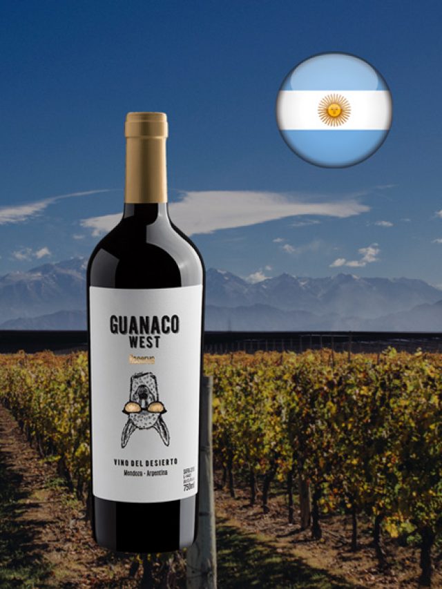 Um Red Blend de Mendoza de excelente custo-benefício