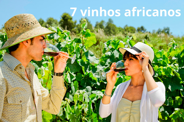 7 Vinhos Tintos Africanos que São Verdadeiras Revelações