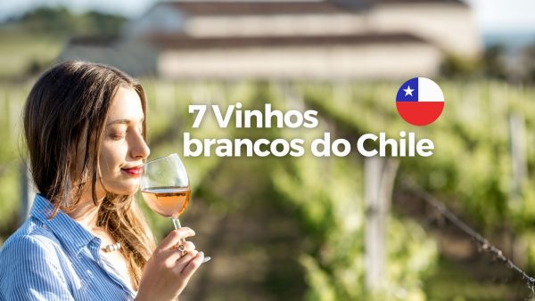 7 vinhos brancos do Chile