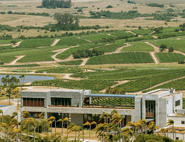 Bodega Garzón, lista dos 6 melhores para conhecer