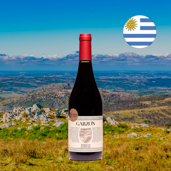 Garzon Marselan Reserva - Oferta