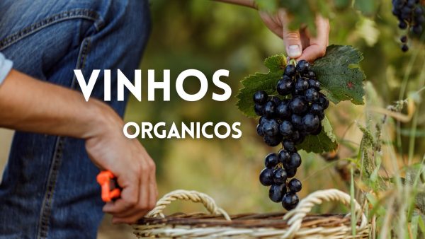 VINHOS ORGANICOS