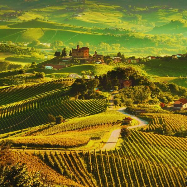 Miliasso Barolo DOCG 2019-TERROIR
