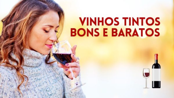 Top 10 Vinhos Tintos Bons e Baratos para Saborear Sem Gastar uma Fortuna