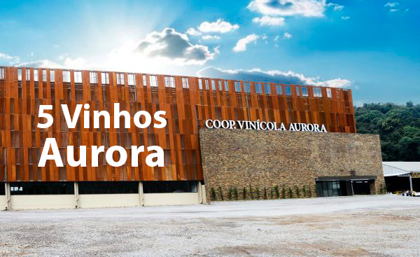 Vinho Aurora, lista de 5 vinhos bem honestos