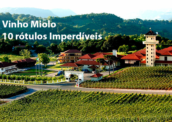 Vinho Miolo, uma lista dos 10 rótulos imperdíveis
