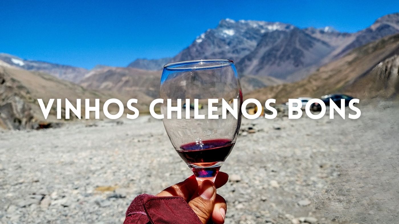 Os 10 Vinhos Chilenos Bons Que Você Precisa Provar