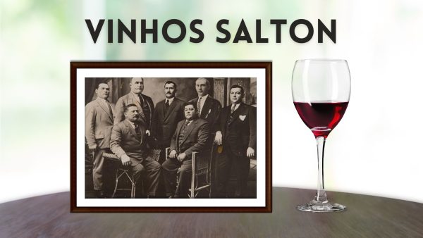 Vinhos Salton