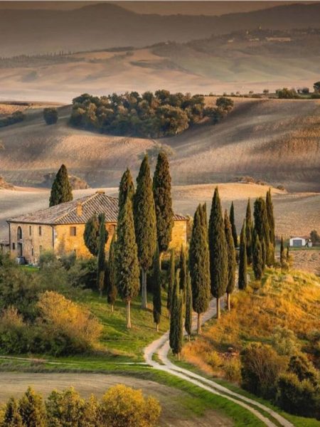 Top 10 Melhores Vinhos Italianos Para Experimentar em 2023 - Tuscany