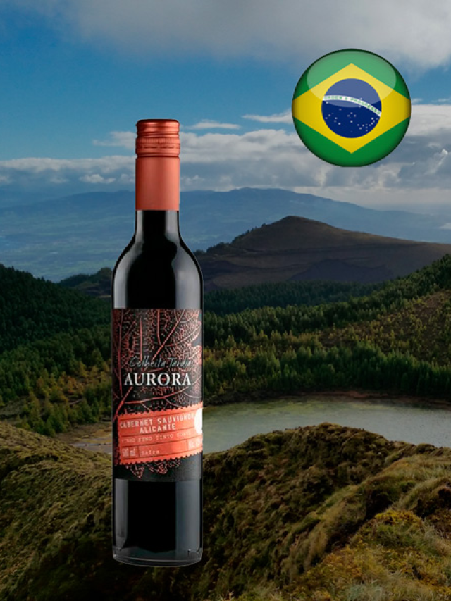 5 Melhores Vinhos Brasileiros que Você Não Pode Perder!