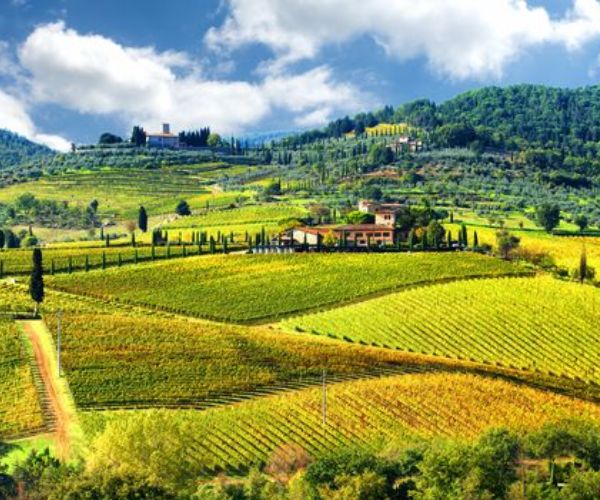 Villa D’Ancona IL Pisani Chianti Riserva DOCG 2019 