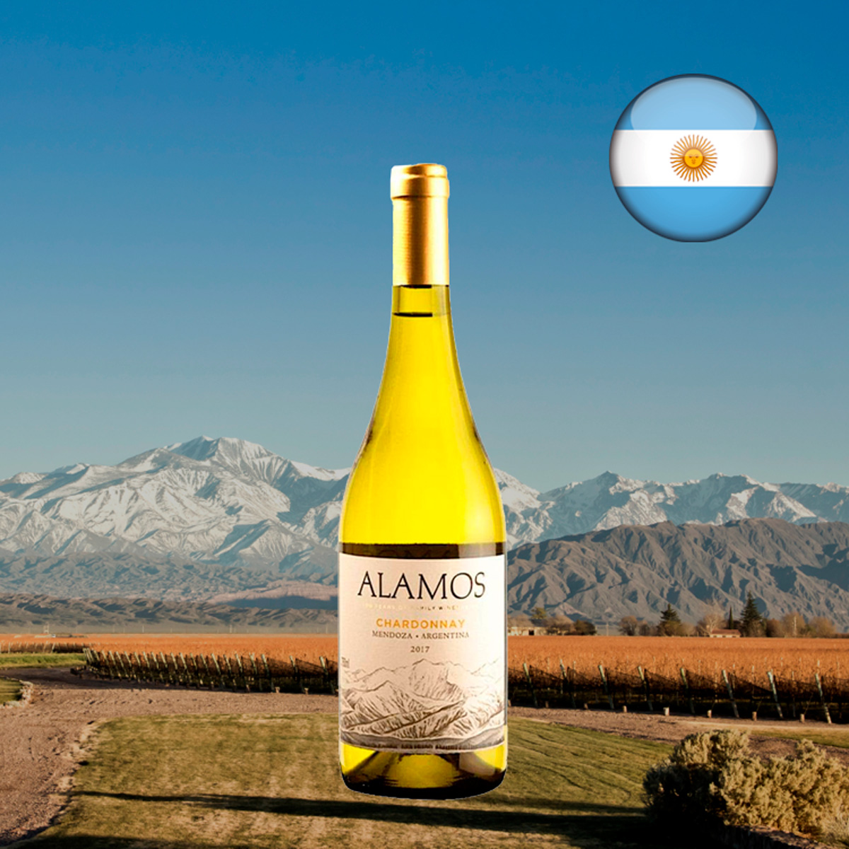 Alamos Chardonnay 2022 - Oferta