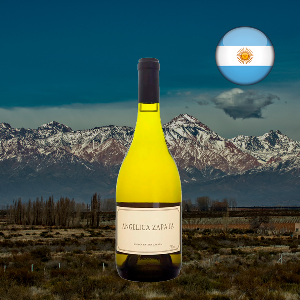 Angelica Zapata Chardonnay 2019 - Oferta