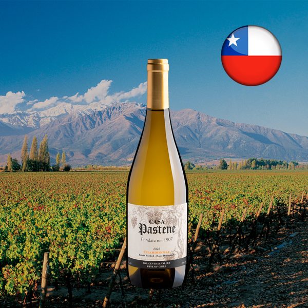 Casa Pastene Chardonnay Central Valley DO 2022 - Oferta