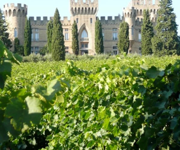 Cellier des Princes Blason du Prince Châteauneuf-du-Pape AOP 2021 - Terroir