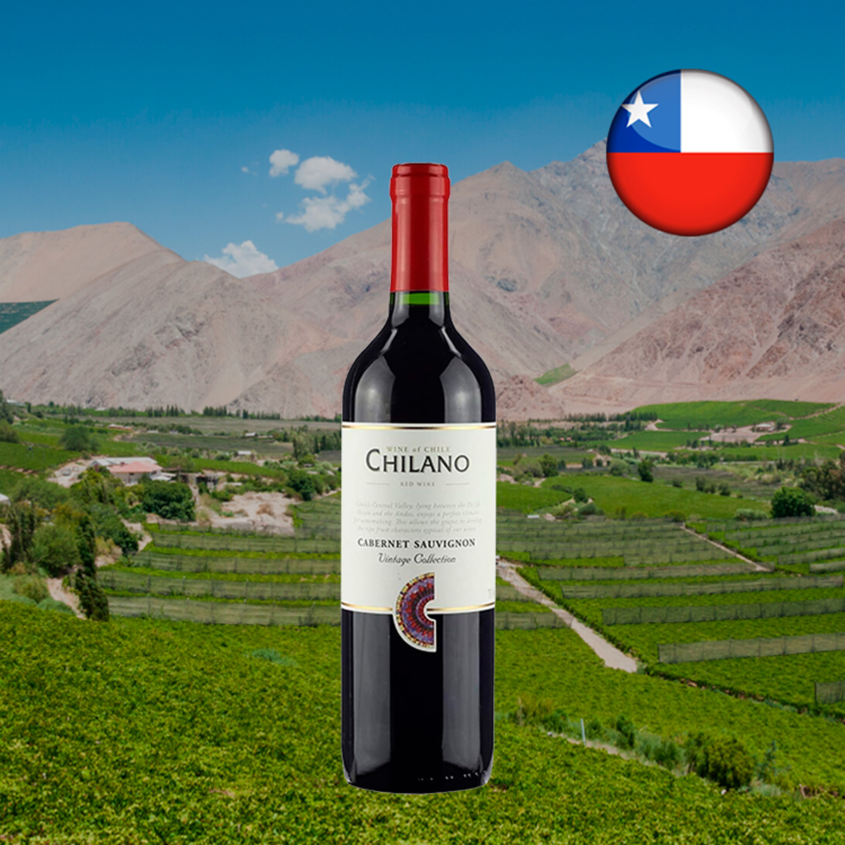 Chilano Cabernet Sauvignon Vintage Collection - Oferta