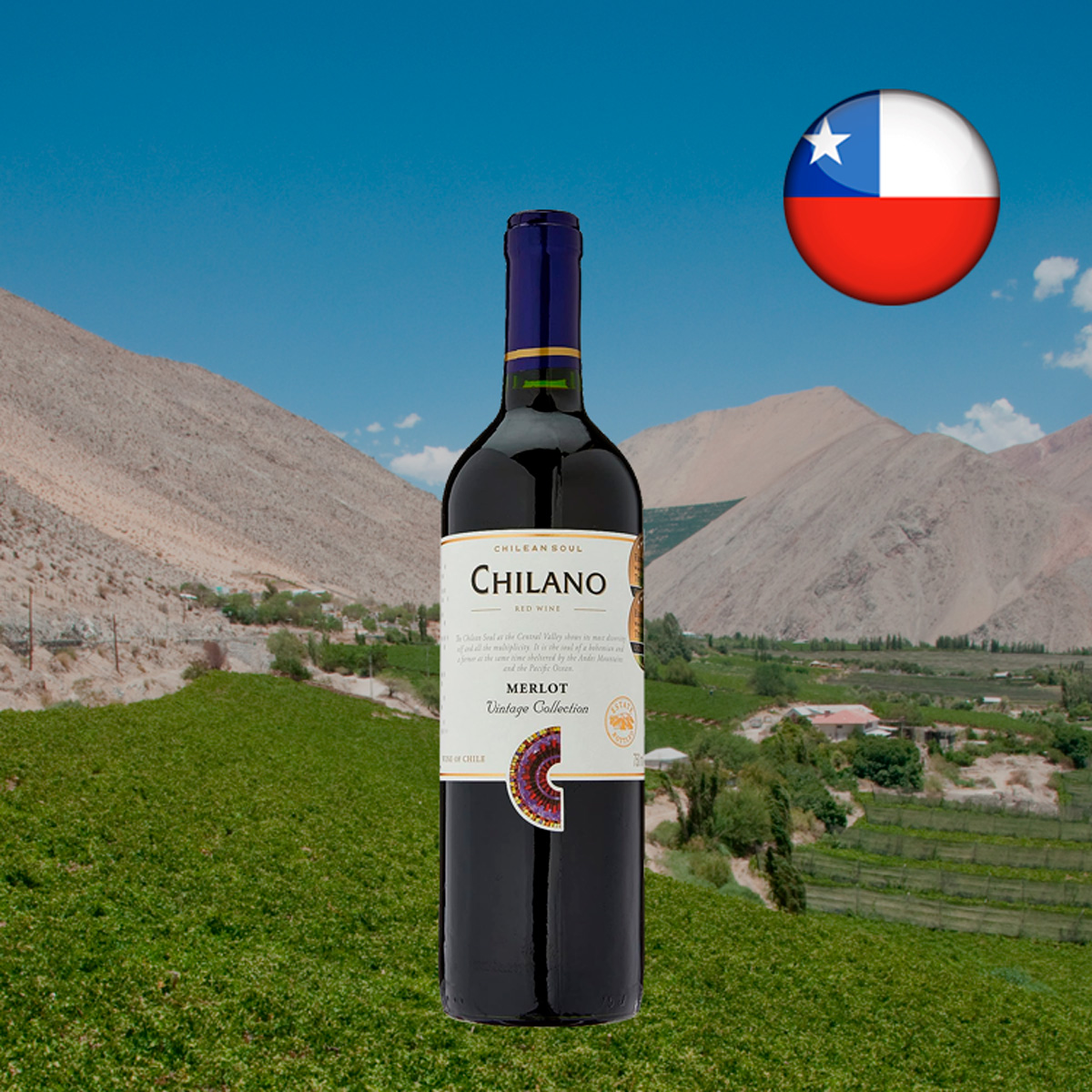 Chilano Merlot Vintage Collection - Oferta