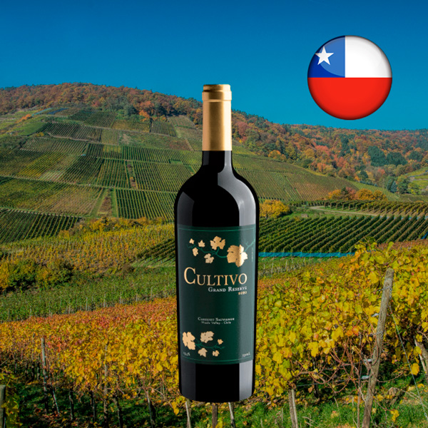 Cultivo Gran Reserve Cabernet Sauvignon Maule Valley DO 2020 - Oferta