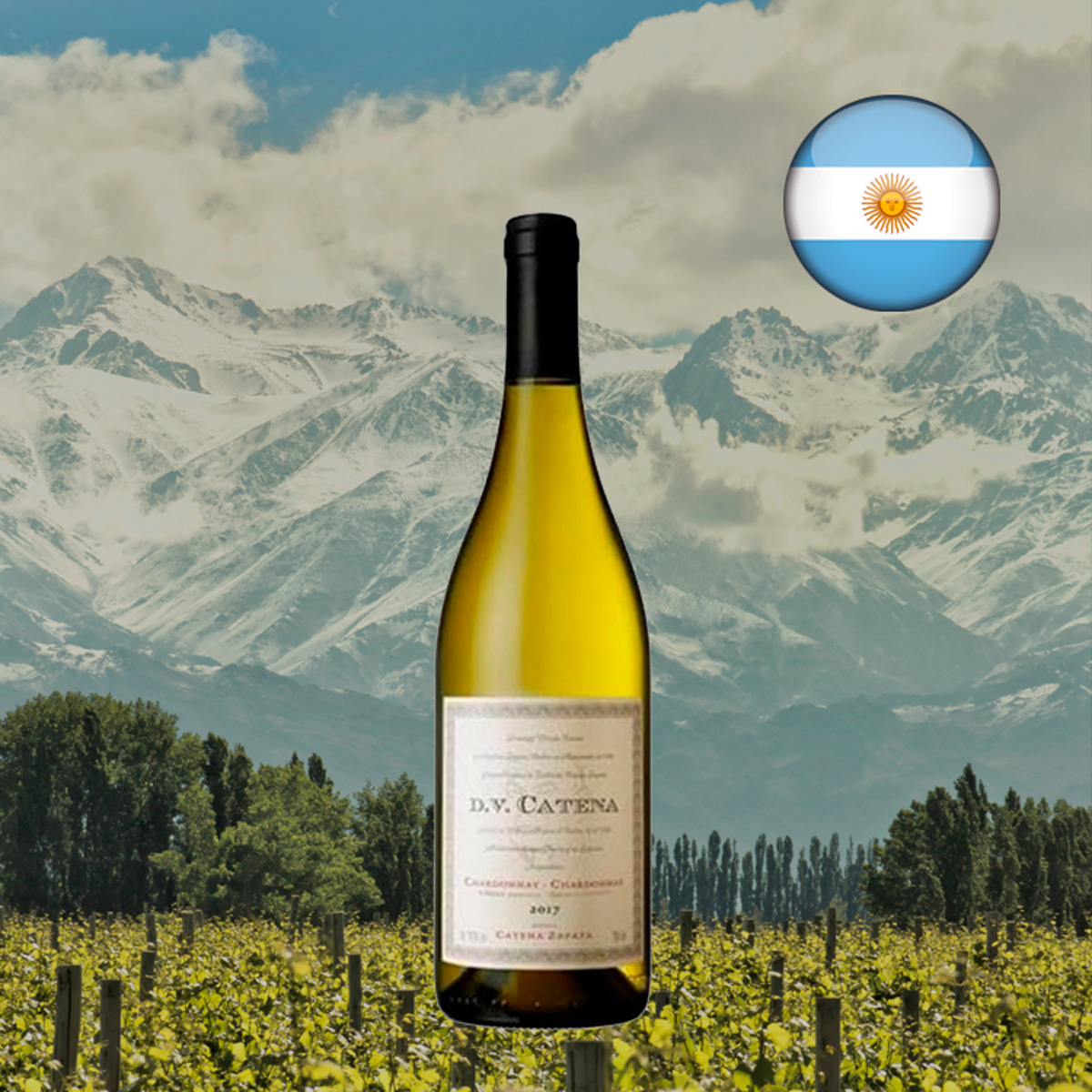 DV Catena Chardonnay-Chardonnay - Oferta