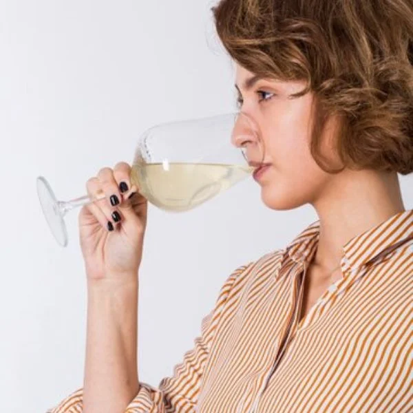 IL Re Pinot Grigio Puglia IGT - degustação
