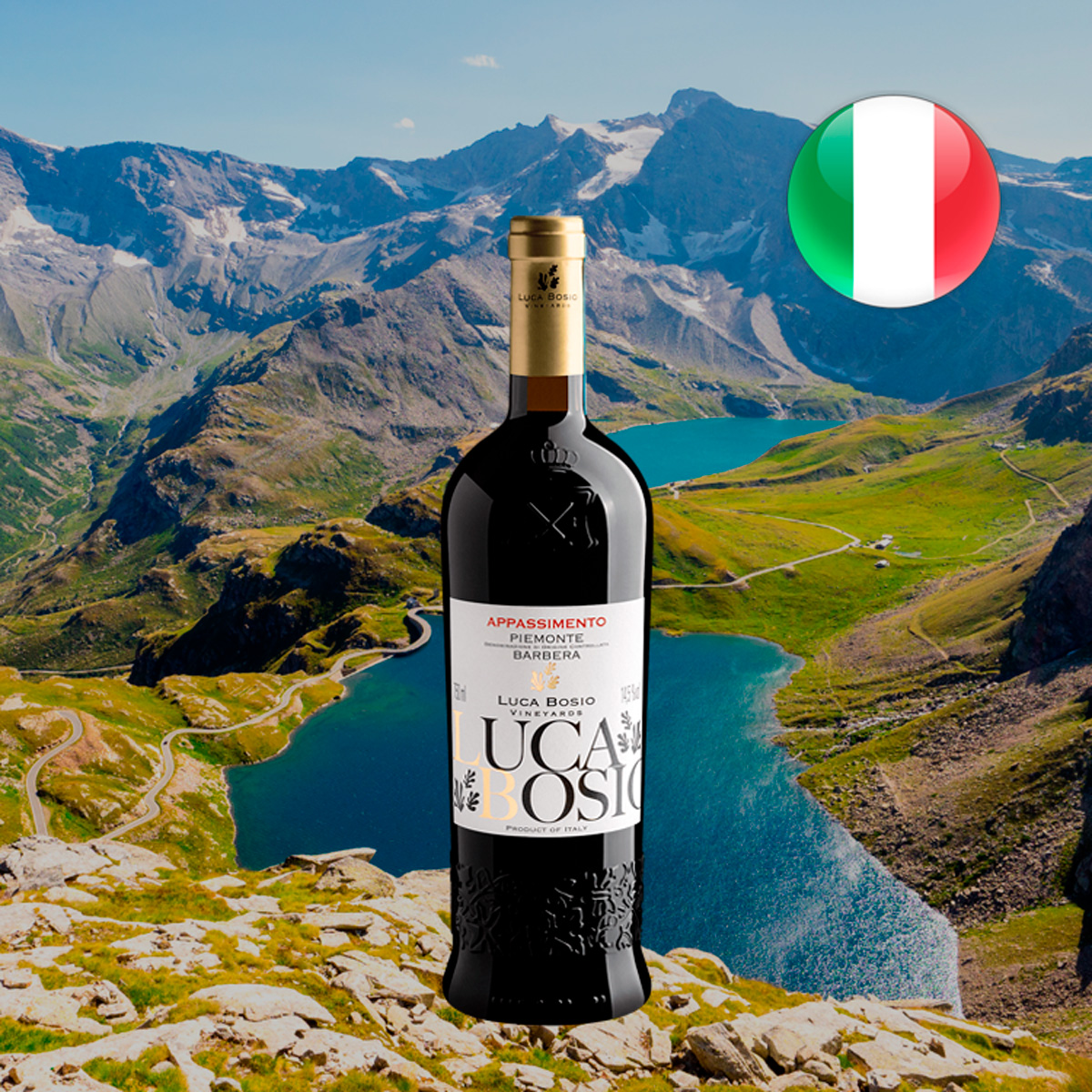 Luca Bosio Vineyards Appassimento Barbera Piemonte DOC 2022 - Oferta