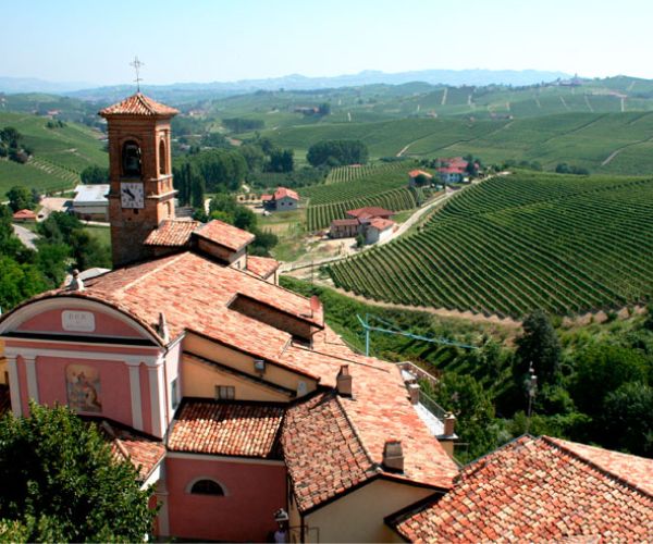 Luca Bosio Vineyards Appassimento Barbera Piemonte DOC 2022 - Terroir