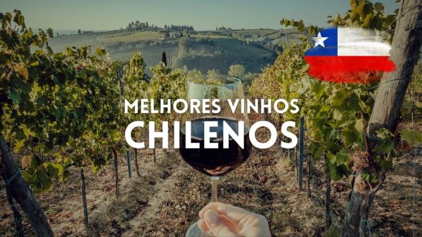 Melhores Vinhos Chilenos