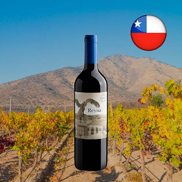 Reyna Merlot Central Valley DO 2022 - Oferta