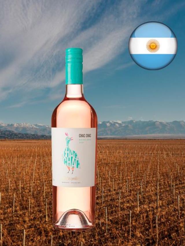 10 Melhores Vinhos Argentinos de 2023: Guia Atualizado