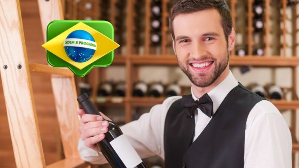 vinhos brasileiros premiados