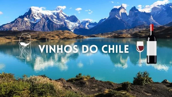 vinhos do chile