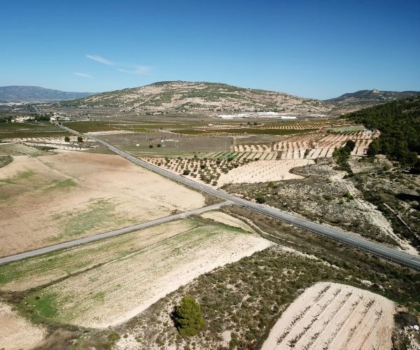 Tarima Monastrell Alicante DO 2022 - Terroir