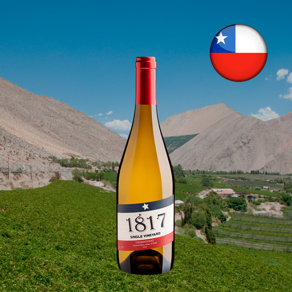 1817 Single Vineyard Chardonnay 2022 - Oferta