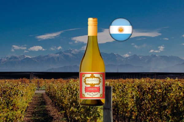 Alamos Chardonnay 2021 - Thumbnail