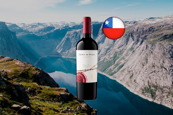 Carmin de Peumo Carmenere 2019 - Thumbnail