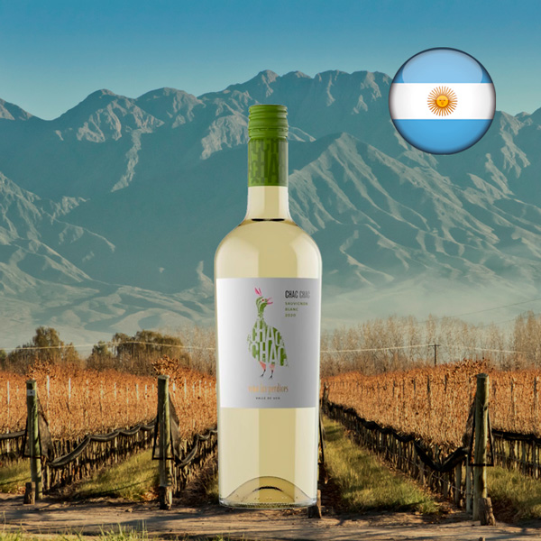 Chac Chac Sauvignon Blanc - Oferta