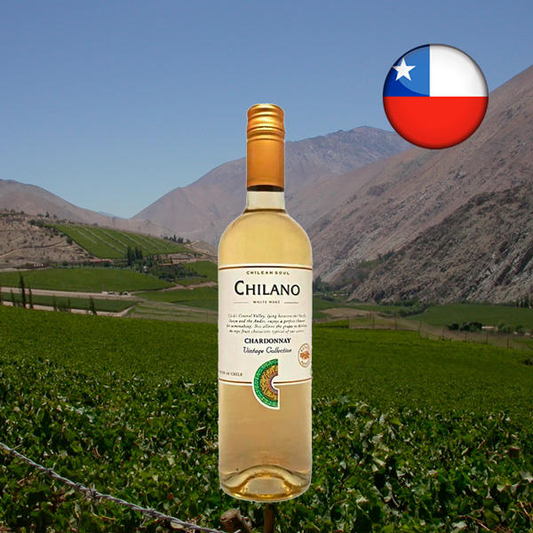 Chilano Chardonnay - Oferta