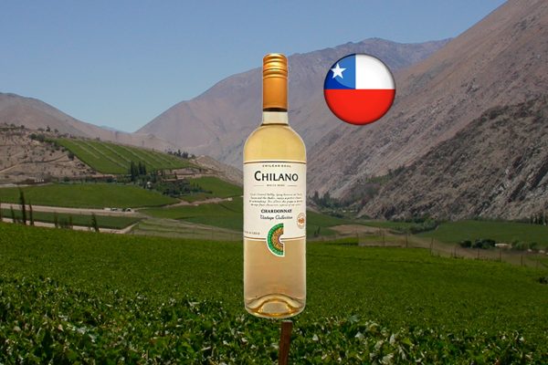 Chilano Chardonnay - Thumbnail