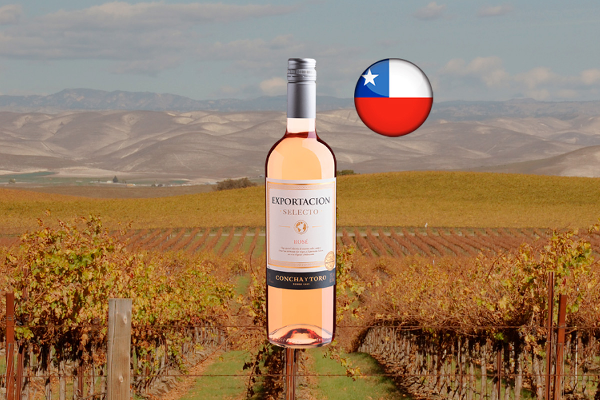Concha y Toro Exportacion Selecto Rosé 2023 - Vinho rosé chileno ...