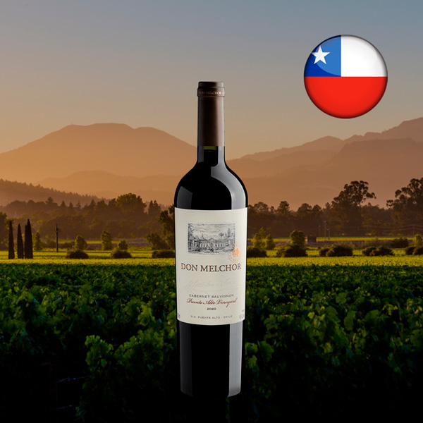 Don Melchor Cabernet Sauvignon Puente Alto DO 2020 - Oferta