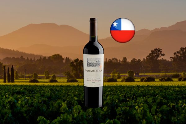 Don Melchor Cabernet Sauvignon Puente Alto DO 2020 - Thumbnail