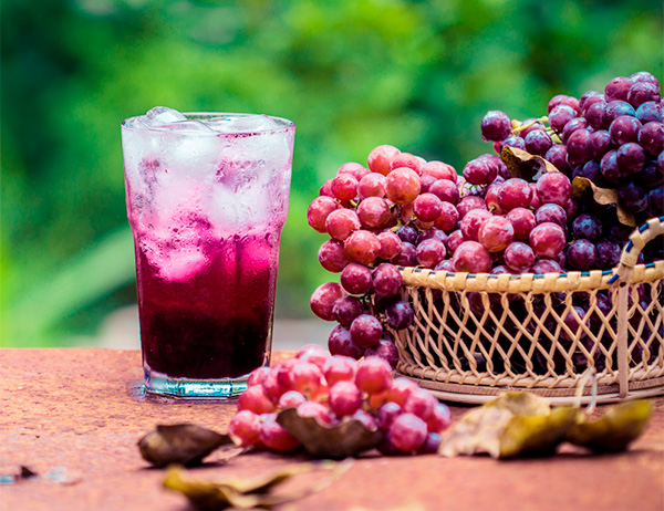 Garibaldi Suco de Uva da Casa Orgânico 1L - Visual