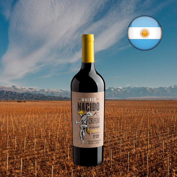 Malbec Nacido & Criado en Mendoza 2022 - Oferta