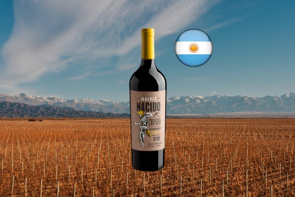 Malbec Nacido & Criado en Mendoza 2022 - Thumbnail