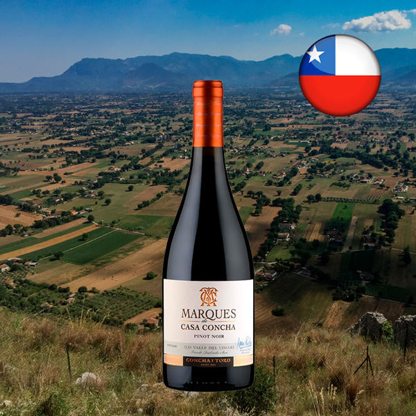 Marques De Casa Concha Pinot Noir - Oferta